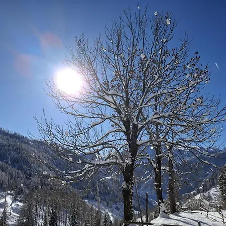 App Sass De Stria Cernadoi Dolomiti Apartamento *